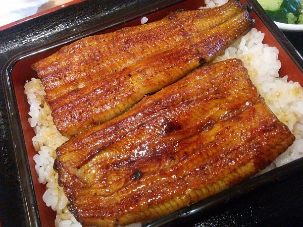 浦和ますやうな重2