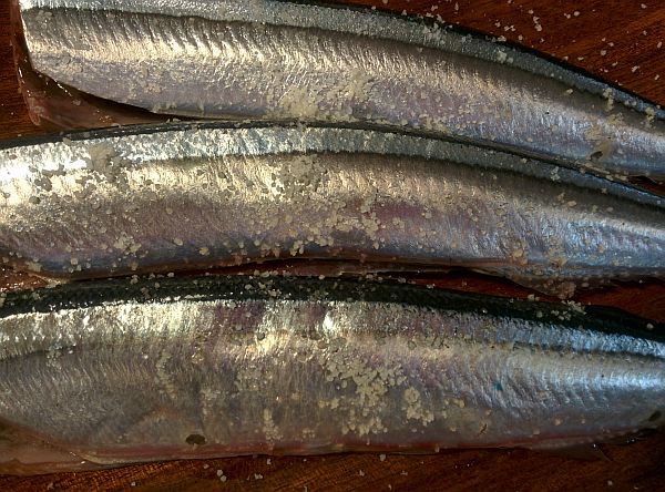 002sanma-frypan