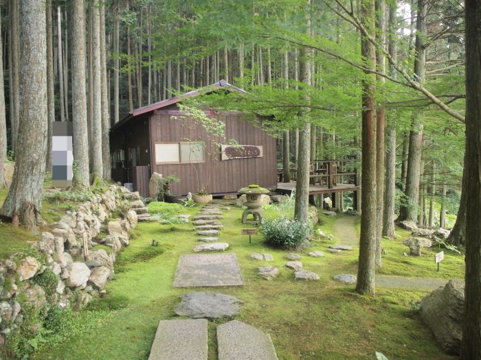 松山空港～苔筵～大洲の鵜飼を満喫した1日[愛媛・高知グルッとドライブ旅行記1日目]