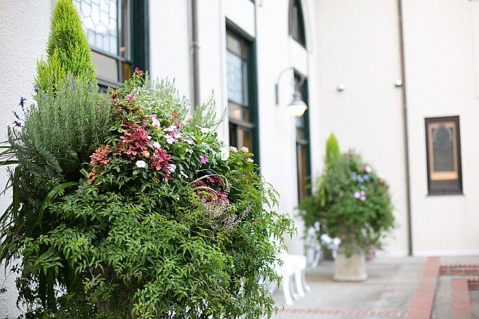 結婚式 したくない 男